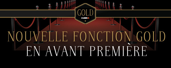 Le Traducteur du Live Chat est enfin sorti