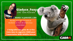 Gladyce_Foxy : Show Spécial “Save Australia” le mardi 14 janvier à 20h