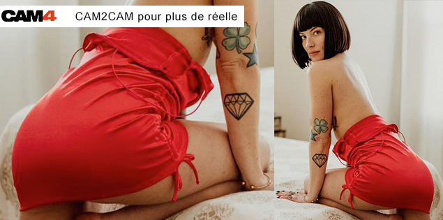 Le Fantasme du CAM2CAM, l’intimité réelle sur CAM4 “pour montrer sa grosse bite”!