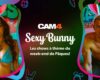 Ce week-end, les lapins sexys reviennent sur Cam4 ! #Sexybunny 🐇🥕