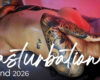 Journée Masturbation 💦 Découvrez les Champions du Plaisir Solitaire sur CAM4 🔥